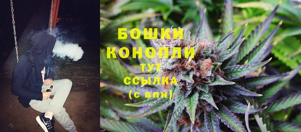 винт Ладушкин
