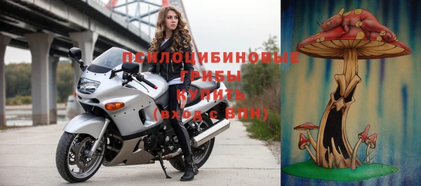 винт Ладушкин