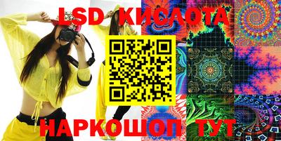 крисы Моздок