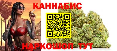 стаф Можга