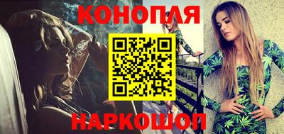 стаф Можга