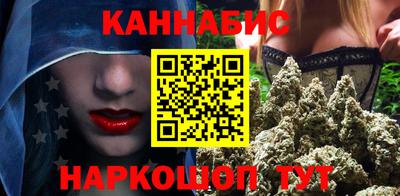 стаф Можга