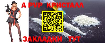крисы Моздок
