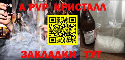 стаф Можга