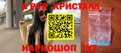 стаф Можга
