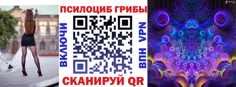 omg ТОР  Копейск  Галлюциногенные грибы мицелий 