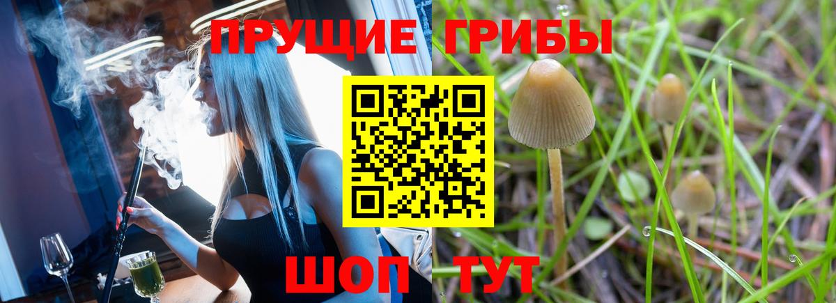 Копейск  Галлюциногенные грибы Psilocybe  Вход с VPN 