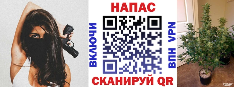 купить   Копейск  Каннабис сатива 