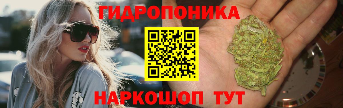 Бошки Шишки Amnesia Копейск
